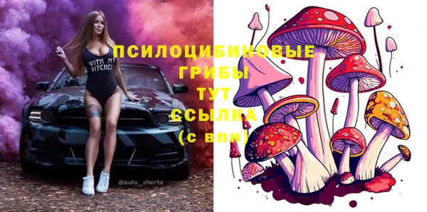 стаф Пересвет