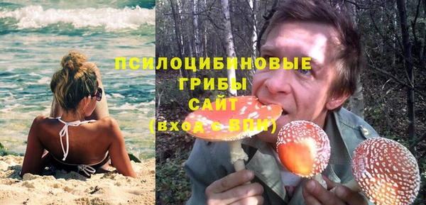 стаф Пересвет