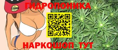 ешки Славянск-на-Кубани