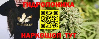 прущие крисы Сланцы