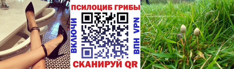 как найти закладки  Шумерля  Галлюциногенные грибы GOLDEN TEACHER 