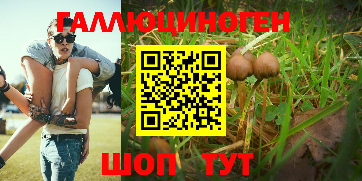 Псилоцибиновые грибы мицелий  Псилоцибиновые грибы ЛСД  Шумерля  Вход с VPN 