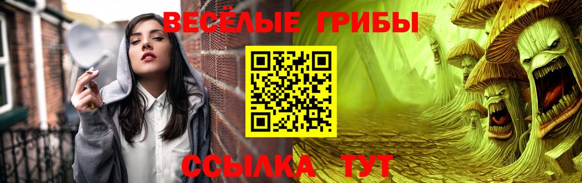 Галлюциногенные грибы Psilocybine cubensis Шумерля